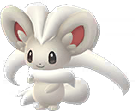 Cinccino