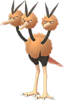Dodrio