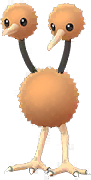 Doduo