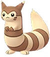 Furret