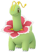 Meganium