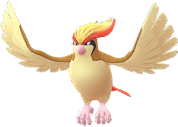 Pidgeot