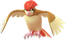 Pidgeotto