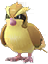 Pidgey