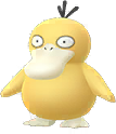 Psyduck