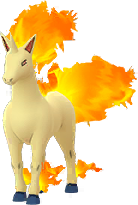 Rapidash