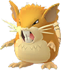 Raticate