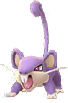 Rattata