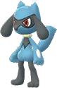 Riolu