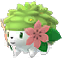 Shaymin (Land)