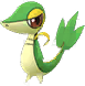 Snivy