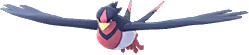 Swellow